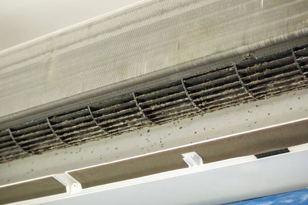Best Commercial Air Duct Cleaning  in Baldwyn, MS